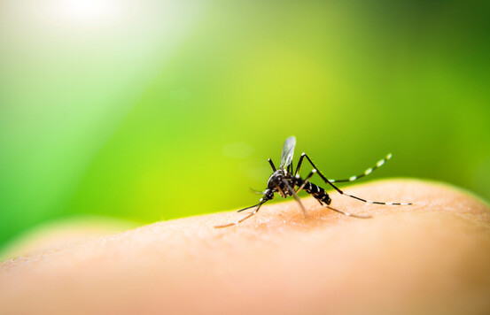 bite away® - Pour piqures d'insectes - anti moustique
