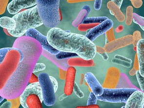 Antibiorésistance : : la solution est dans notre microbiote intestinal ?