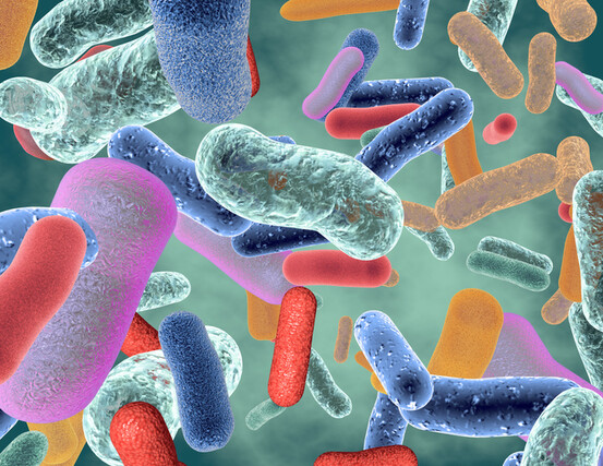 Antibiorésistance : : la solution est dans notre microbiote intestinal ?