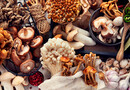 Diabète, surpoids  : champignons médicinaux et métabolisme