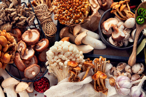 Diabète, surpoids  : champignons médicinaux et métabolisme