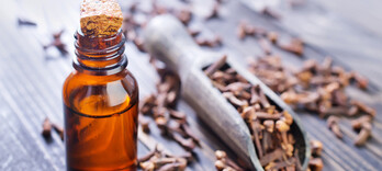 Antimoustique naturel : une recette polyvalente à base d’huiles essentielles  - Alternative Santé